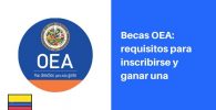 Becas OEA requisitos
